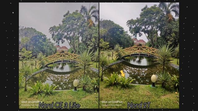 OnePlus Nord CE 3 Lite Vs OnePlus Nord 2T Camera Comparison | OnePlus Nord CE 3 Lite Camera Test