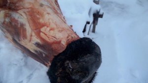 Тест травматических пистолетов Гроза-01 & "Макарыч"