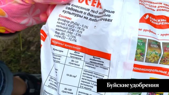 НУЖНА ЛИ ПОДКОРМКА НА ОСЕНЬ? РАЗБОР УДОБРЕНИЙ #удобрения #осень #дача смотреть онлайн