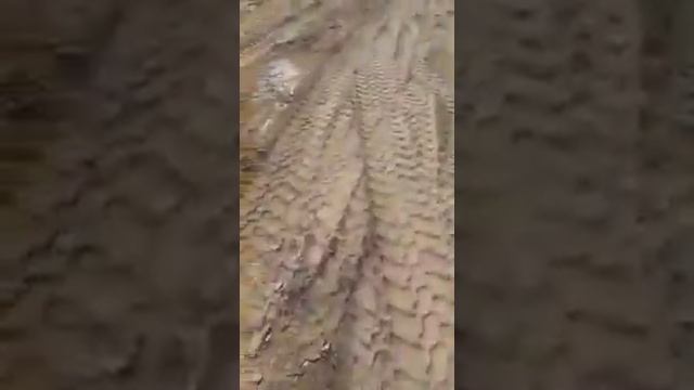 Дренажная система дачного участка. Смотровые колодцы смотреть онлайн