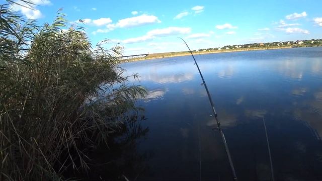 Рыбалка на фидер. Ловля карася на реке. Рыбалка для начинающих. Рыбалка 2021 смотреть онлайн