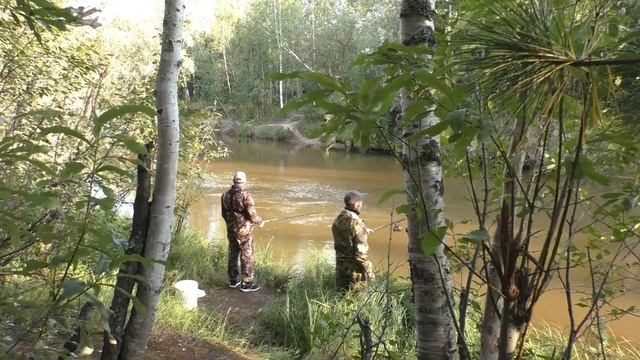 В коряжнике под старым мостом, НАДЕРБАНИЛИ МОХТАРЕЙ!!! Мини речка КАМГАЯХА!!! Летняя рыбалка 2022 г смотреть онлайн