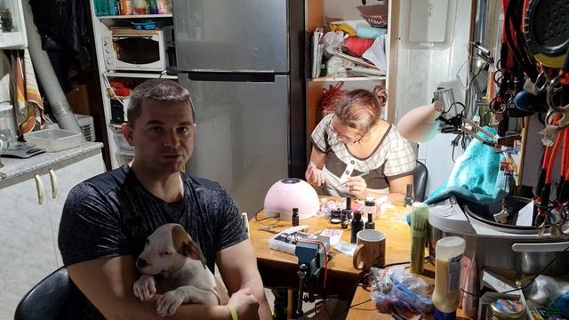 Щенок не ест корм-он умрет с голода? смотреть онлайн
