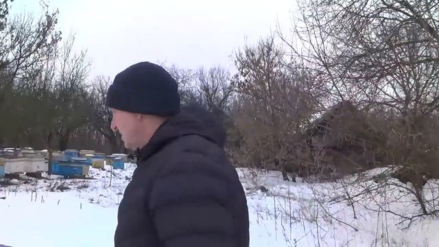 Зимовка пчел на свежем воздухе без утепления (Курская обл. февраль 2020) смотреть онлайн