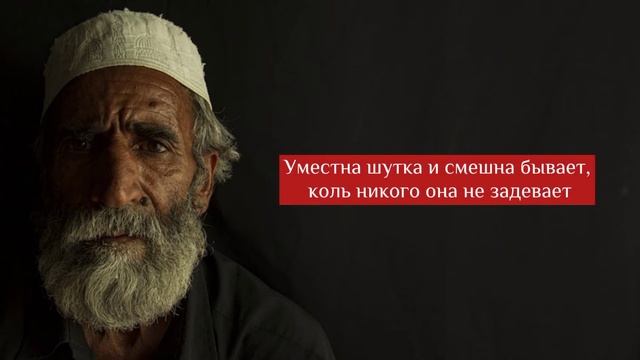 Мудрые Персидские Пословицы И Поговорки | Персидские Афоризмы Которые Вас Впечатлят смотреть онлайн
