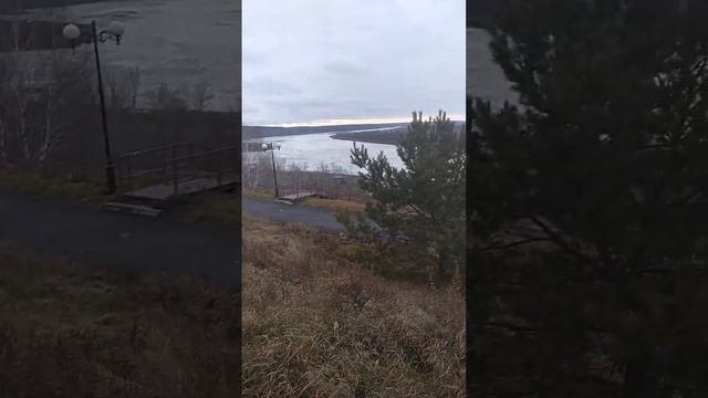 Дыхание ноября. Жду всех на лесные экскурсии