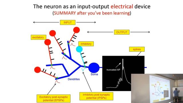 AI&BigDataLab2016_Дмитрий Новицкий_Спайковые и бионические нейронные сети: проблемы и перспекитвы смотреть онлайн