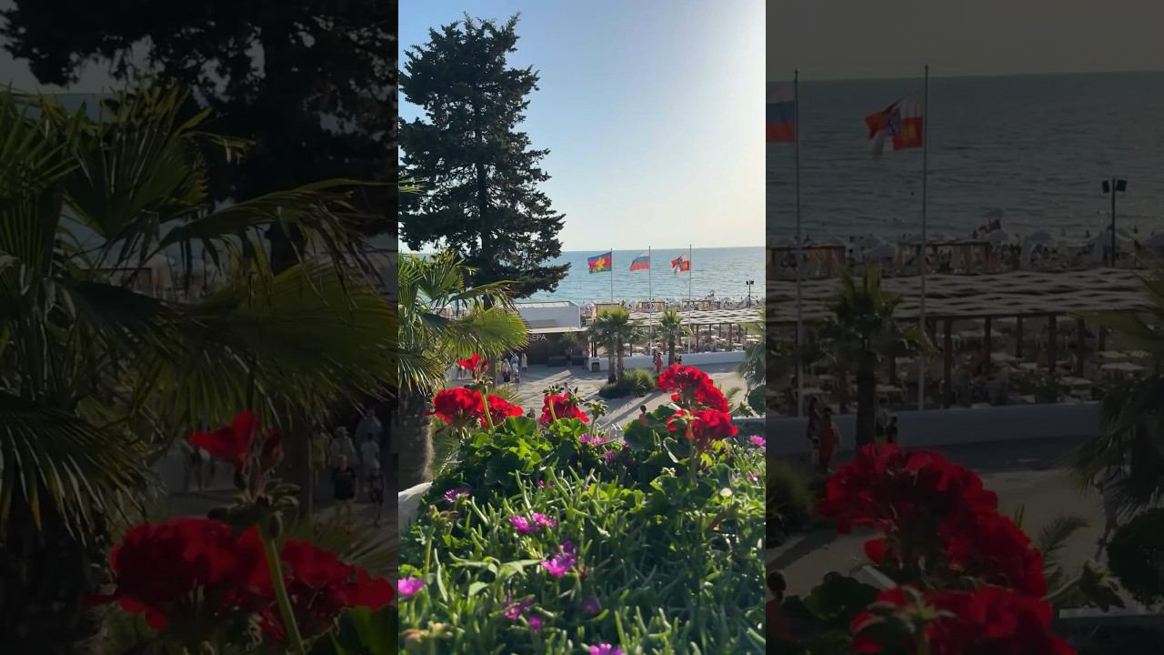 Парк возле пляжа Ривьера. Сочи. 23.06.2024 смотреть онлайн