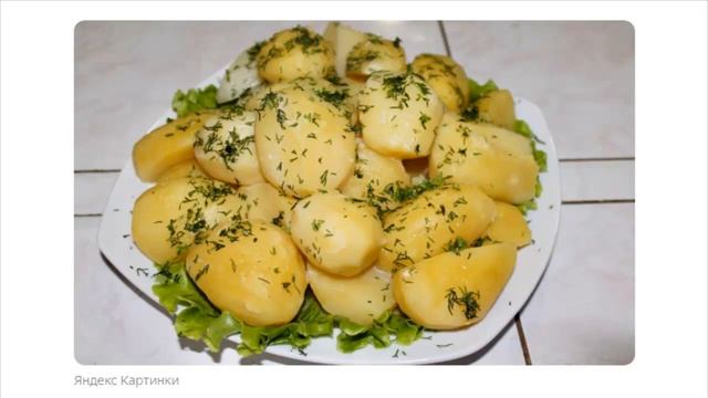 «Какие русские летние занятия понравились американцу в России.» смотреть онлайн