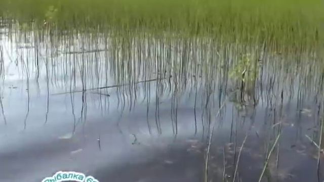 Рыбалка 69. Карась. смотреть онлайн