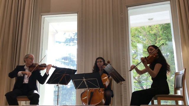Hallelujah, L. Cohen ("Shrek") - Trío de cuerda смотреть онлайн
