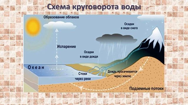 Круговорот воды | Общая экология смотреть онлайн