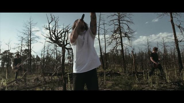 ANNISOKAY - Sea Of Trees (OFFICIAL VIDEO)