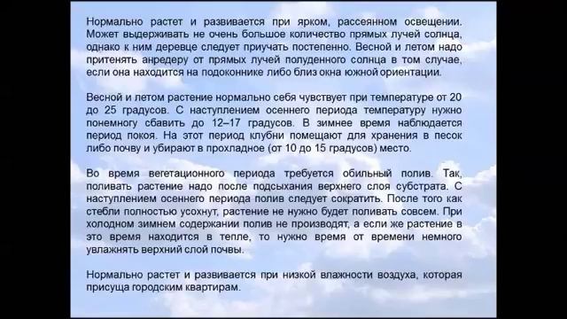 Анредера смотреть онлайн