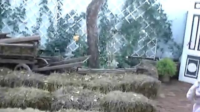 Коломна Музей пастилы 2 смотреть онлайн