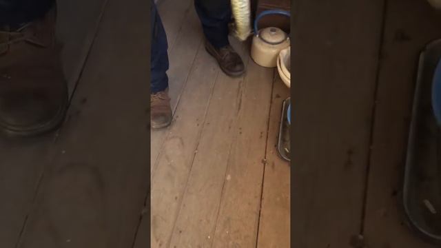 Mystery of a Missing Slipper that a Carpet Python had eaten, had mistaken it by food. смотреть онлайн