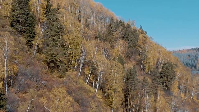 Осень / юг западной Сибири смотреть онлайн