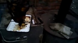 Тандыр из бочки, готовлю гуся первый опыт