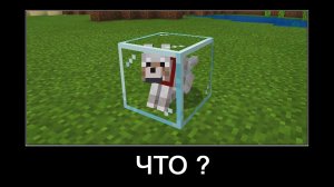 Minecraft (майнкрафт) что происходит? Приколы, глюки. Часть 2.