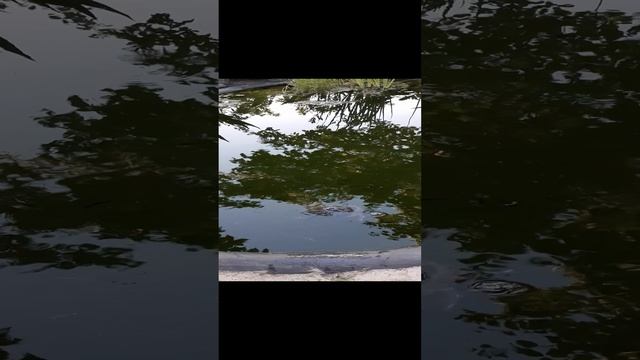 Резиновая краска для бассейна купить смотреть онлайн