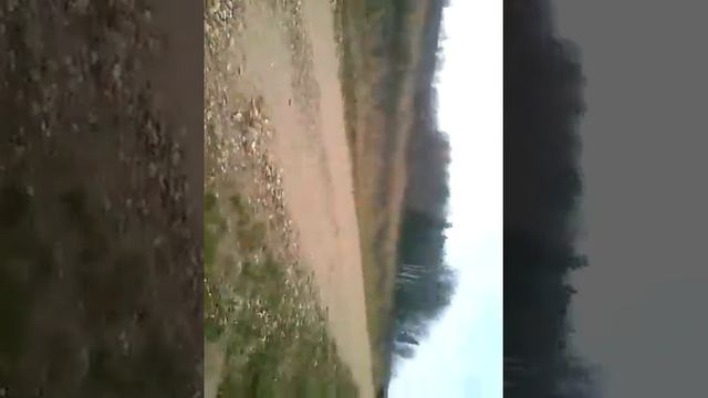 VLOG дача. Дорога на дачу. Скука. смотреть онлайн