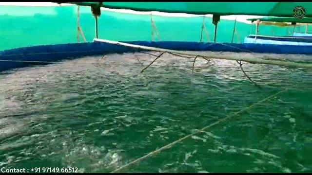 Biofloc Tank, Aeration, Air Pump System | Biofloc Fish Farming Technology