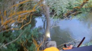 Поиск пропавших. Поисковый отряд ЛИЗА АЛЕРТ Пенза.