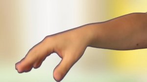 [EN] #72 Let’s have a party for whales, kids education, Collecta figureㅣCoCosToy