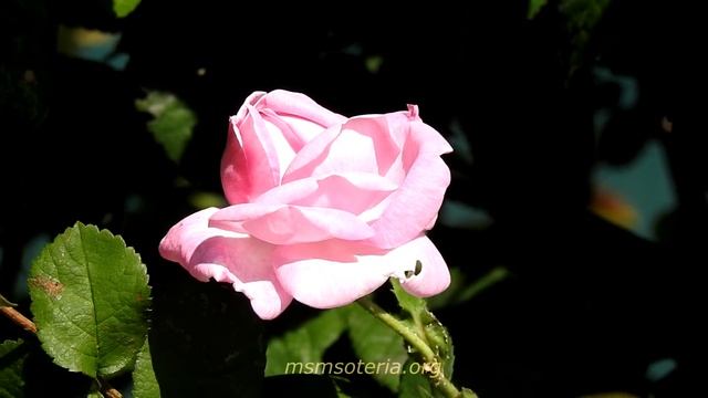 Стихи о Боге. Вездесущему Творцу. Христианские стихи ✨ смотреть онлайн