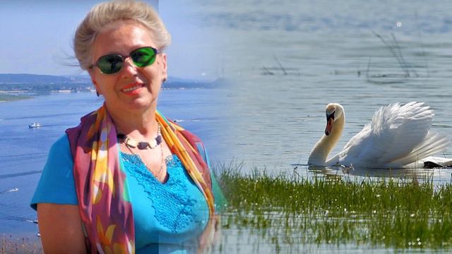 Любовь моя, лебёдушка, автор ролика Татьяна Панченко смотреть онлайн