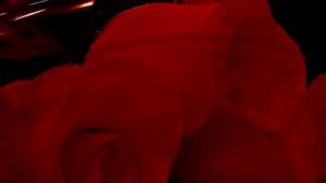 Анатолий Днепров.Радовать..