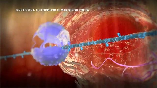 Штада Армения - Гинепристон экстренная контрацепция нового поколения смотреть онлайн