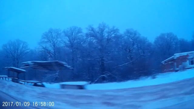 зимний лес смотреть онлайн