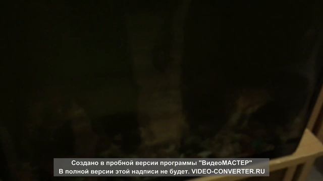 Возвращение Зверобоя #1 (Какой-то хрен) смотреть онлайн