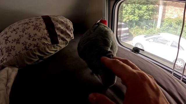 ep.138 vogliamo partire non nè possiamo più..... смотреть онлайн