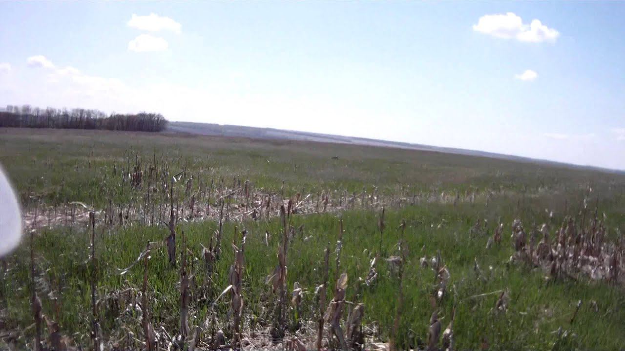 01 05 2015 смотреть онлайн