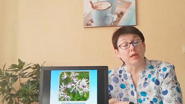 #ЭТОИНТЕРЕСНО «Знакомство с луговыми цветами и травами Подмосковья. Горицвет кукушкин» смотреть онлайн
