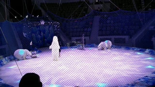 Цирк на льду Айсберг, выступление белых медведей смотреть онлайн