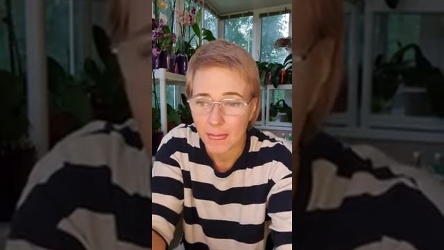 Моем орхидеи Мылом) смотреть онлайн