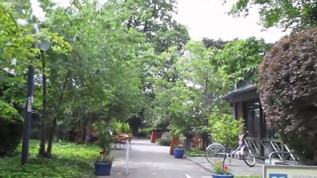 Spaziergang in Bad Nenndorf durch die City,Kurpark und die Stadt смотреть онлайн