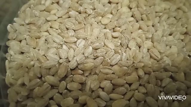 Из чего сделать удобрение?в домашних условиях смотреть онлайн