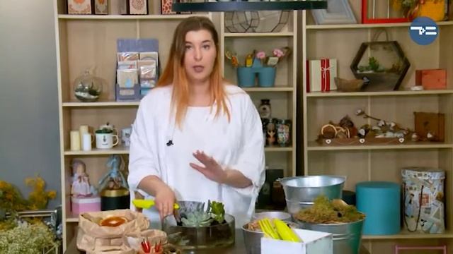 Инструкция: флорариум с суккулентами смотреть онлайн