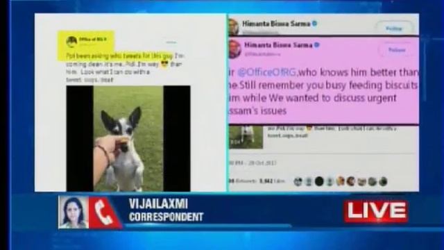 Rahul dog tweet: Video posted on Rahul Gandhi's twitter handle goes viral смотреть онлайн