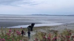 Жизнь чудесна, если миром правит любовь