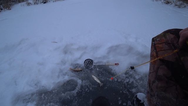 Снега нет, один пух! Ураган Тайга. Обкатка продолжается смотреть онлайн