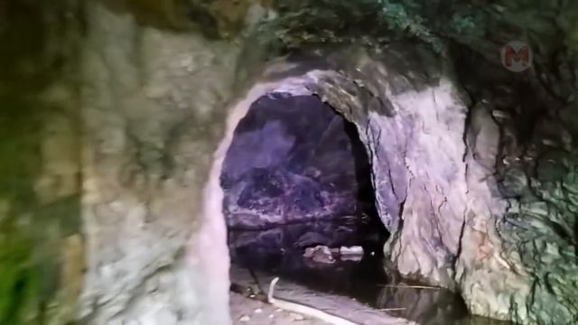 Выждал Момент! Внезапные Нападения Животных Снятые на Камеру смотреть онлайн