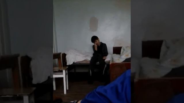 яйця зилизні