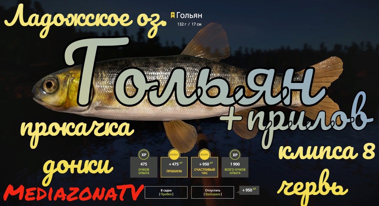 #рр4 Ладожское оз. Голья + прокачка донки 06.08 смотреть онлайн