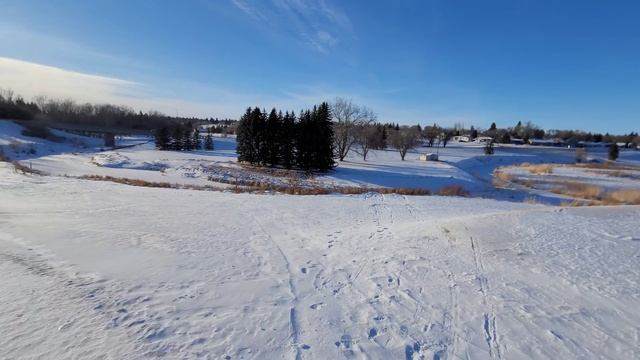 V day fun ? смотреть онлайн