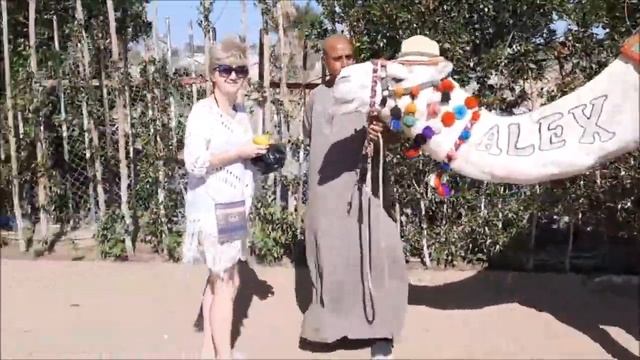 ?ХУРГАДА ?ЕГИПЕТ ?Отель Aqua Joy Resort By Sunrise 4,5* ?Звезда отеля ? ВЕРБЛЮД Alex смотреть онлайн